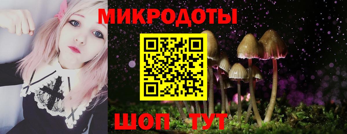 Новокубанск  Псилоцибиновые грибы GOLDEN TEACHER  Вход с VPN  Галлюциногенные грибы Psilocybine cubensis 