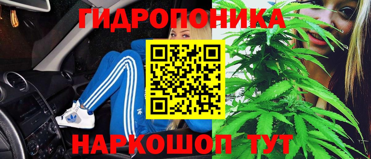 Бошки Шишки планчик Новокубанск